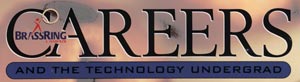BrassRing Campus, Careers and the Technology Undergrad